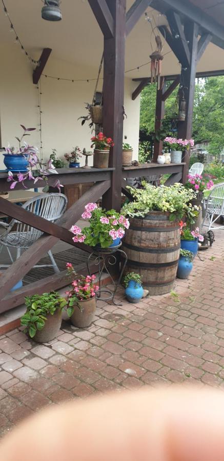 "Jutrzenka" Apartment Bialowieza Luaran gambar