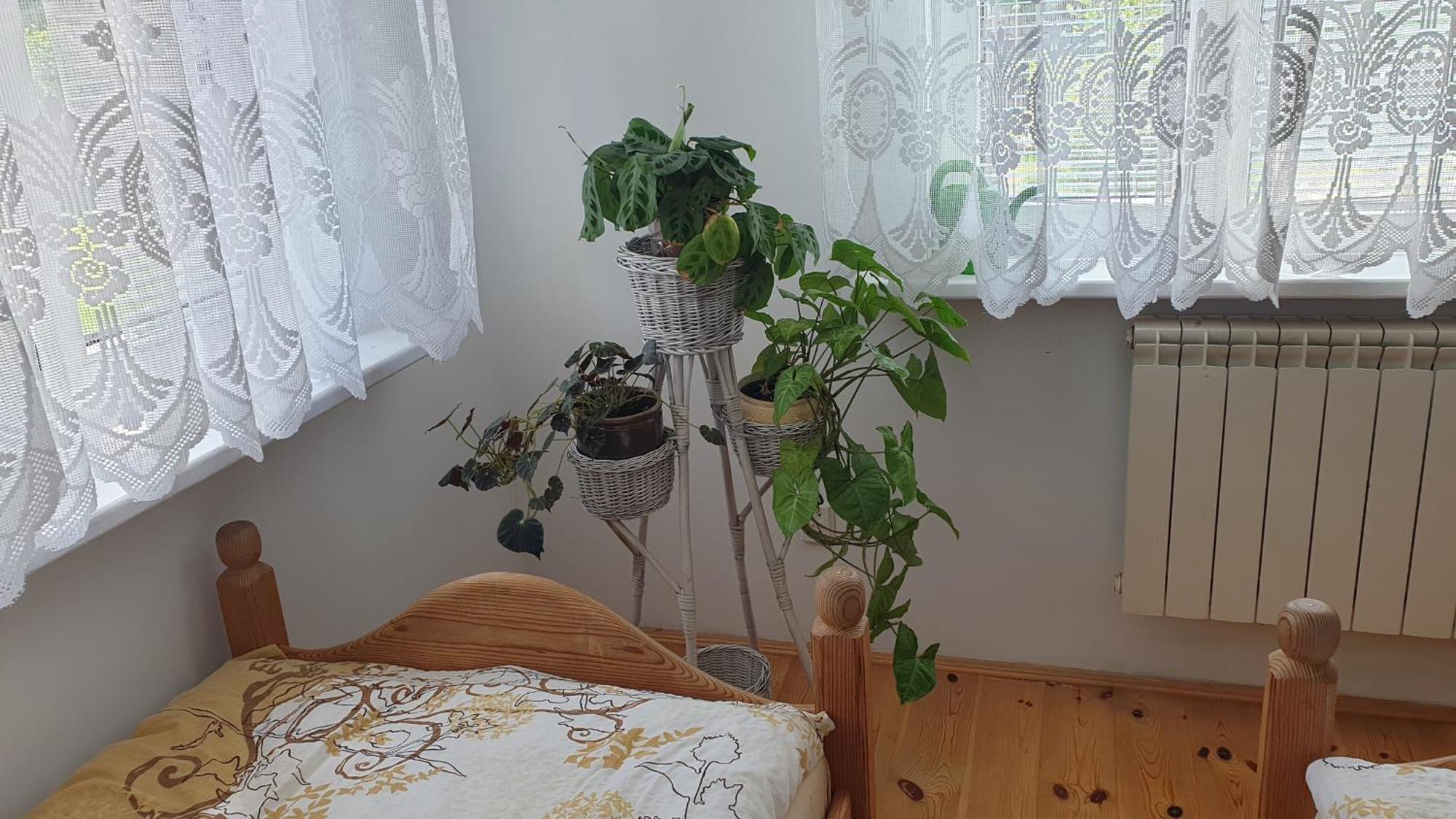 "Jutrzenka" Apartment Bialowieza Luaran gambar